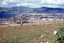 1972 Tarunga & Rota Rua New Zealand